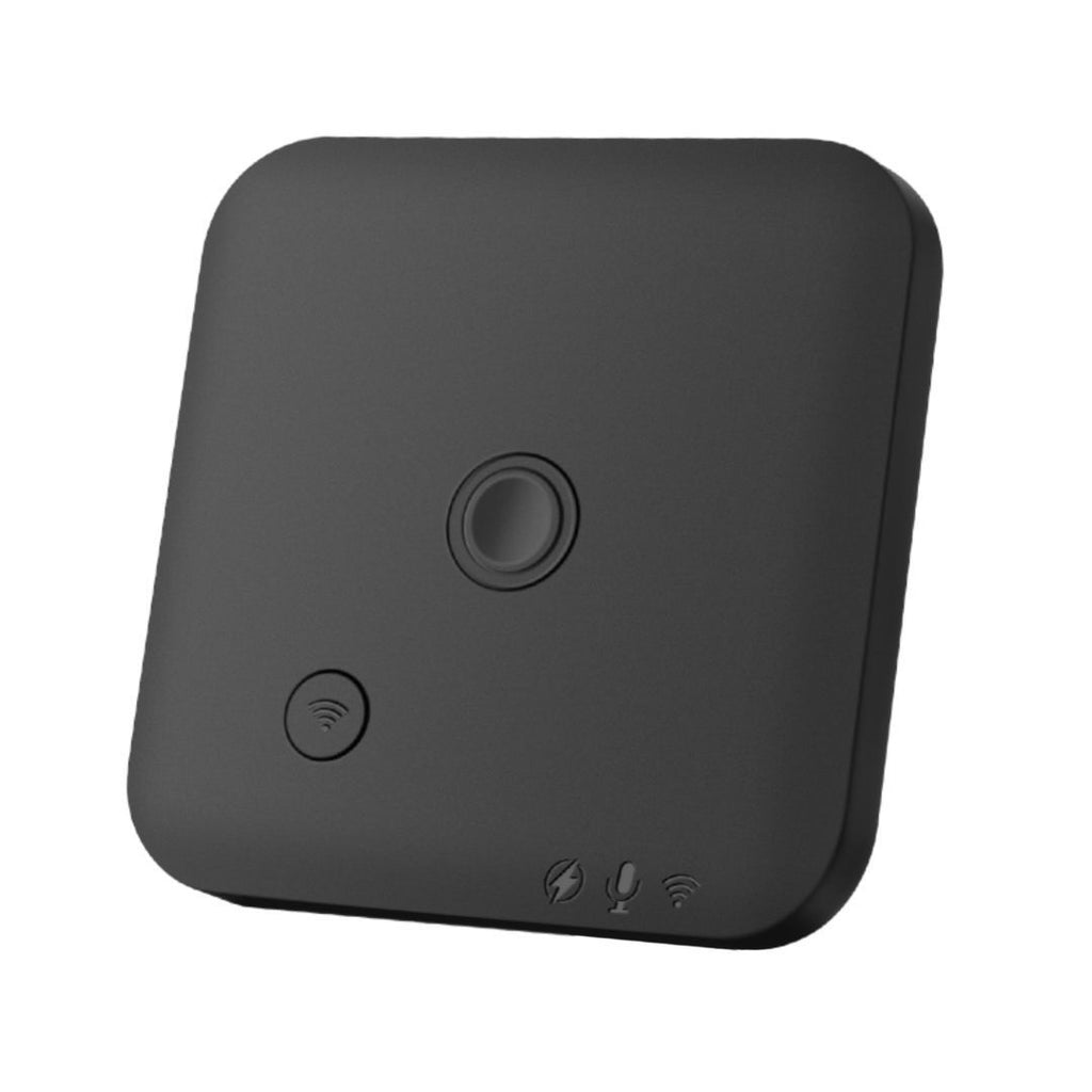 AI voice recorder with transcription, image 1