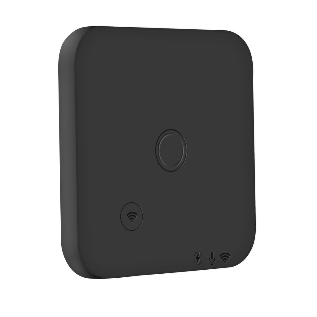AI voice recorder with transcription, image 8