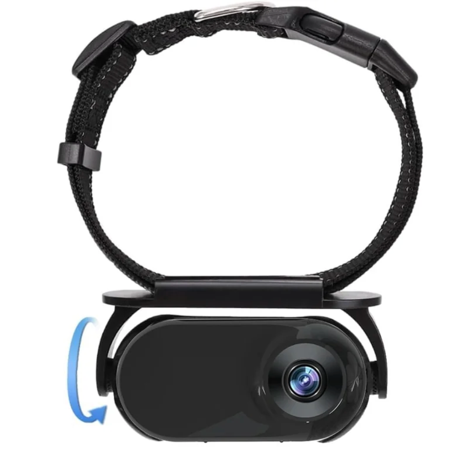 Pet camera collar for dogs and cats, image 1